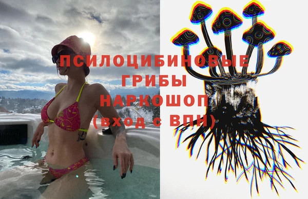 индика Волоколамск