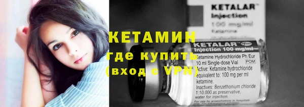 сатива Вязьма