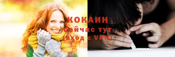 сатива Вязьма