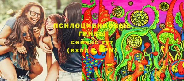сатива Вязьма