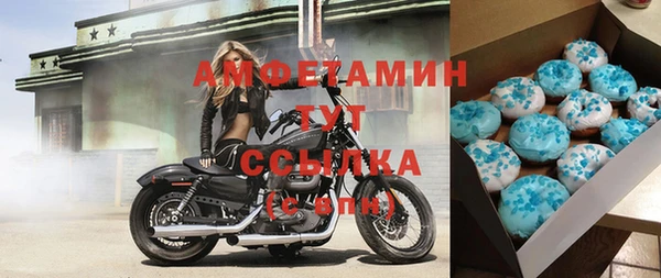индика Волоколамск